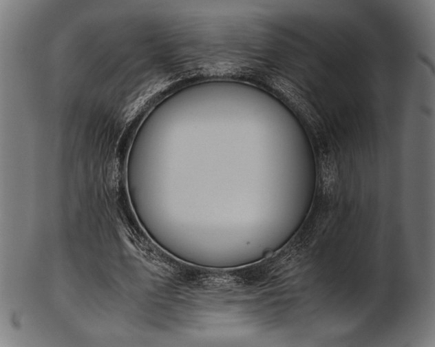 X0000103480583200809121652
