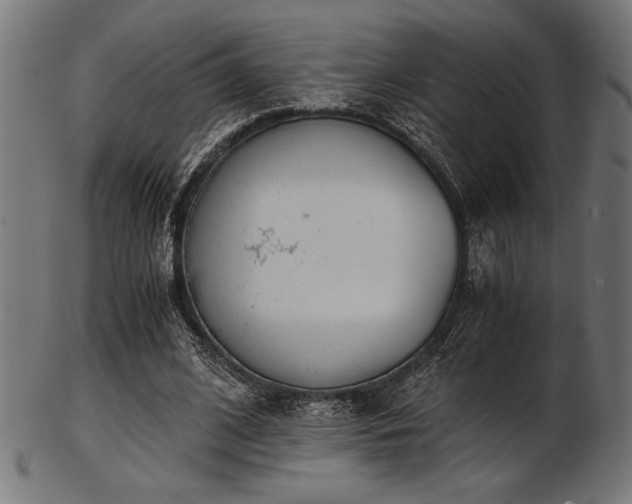 X0000103480584200809121652