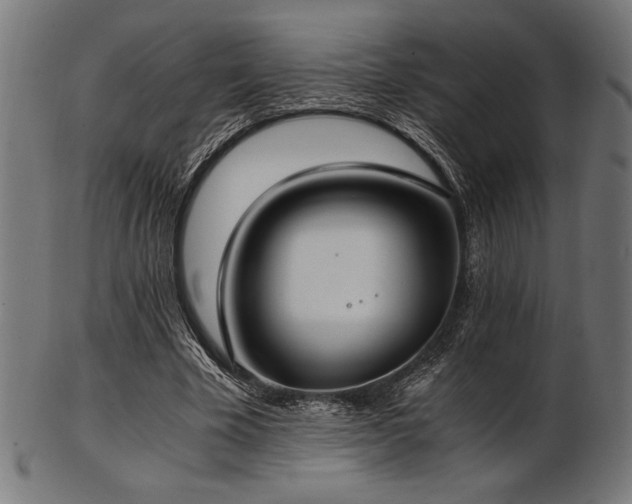 X0000103480585200809121652