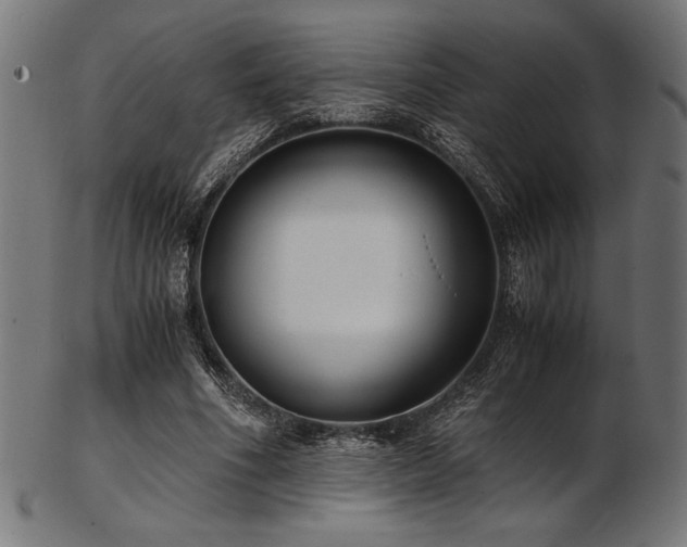 X0000103480586200809121652
