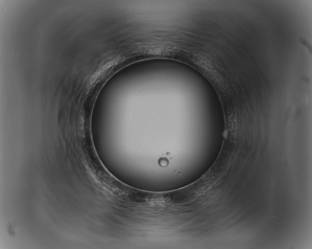 X0000103480587200809121652
