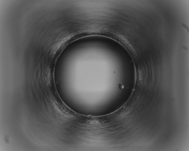 X0000103480588200809121652