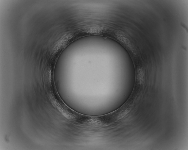 X0000103480589200809121652