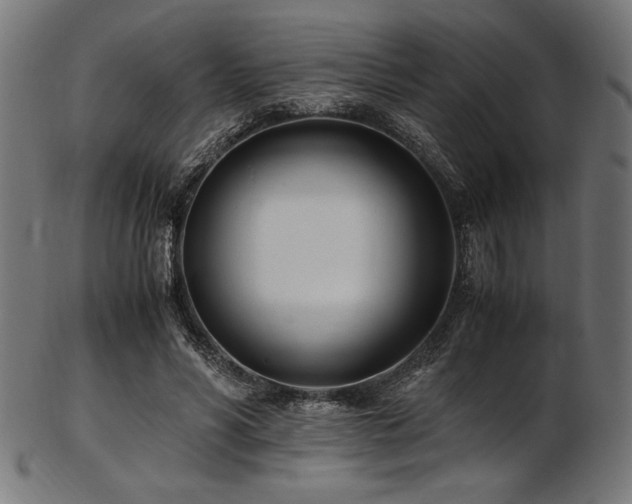 X0000103480590200809121652