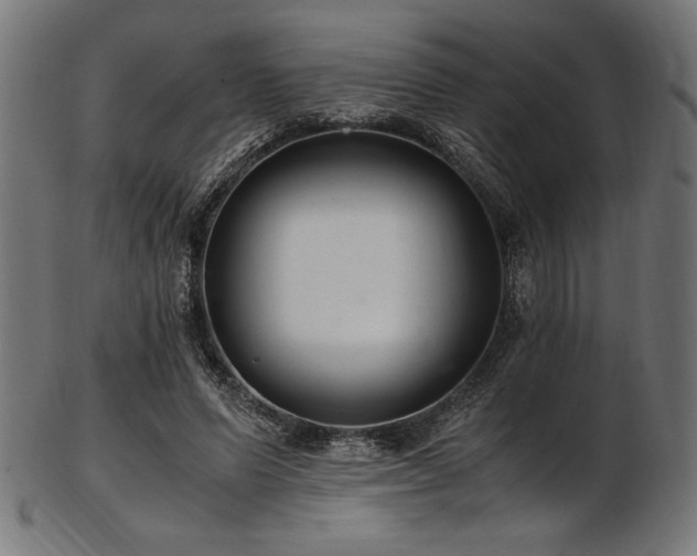 X0000103480591200809121652