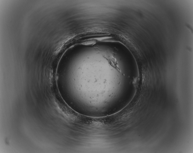 X0000103480592200809121652