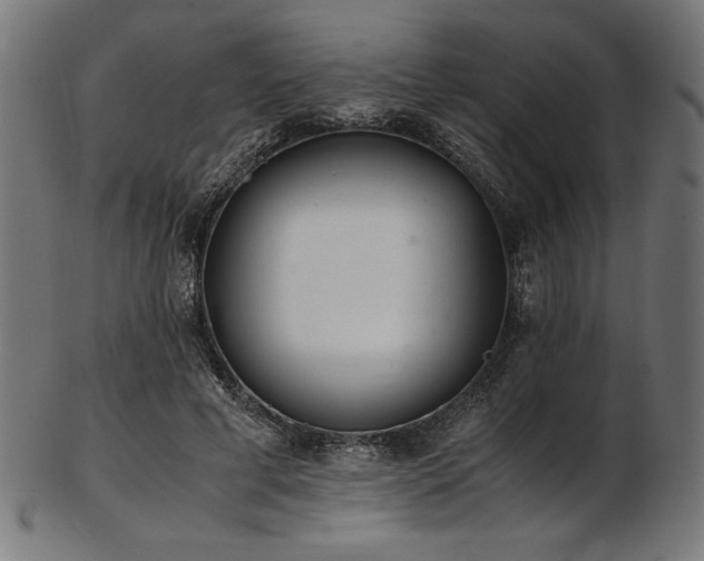 X0000103480593200809121652