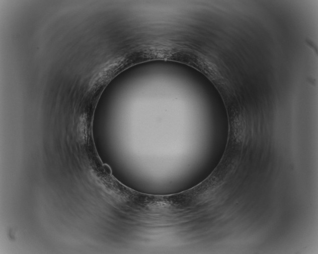 X0000103480594200809121652