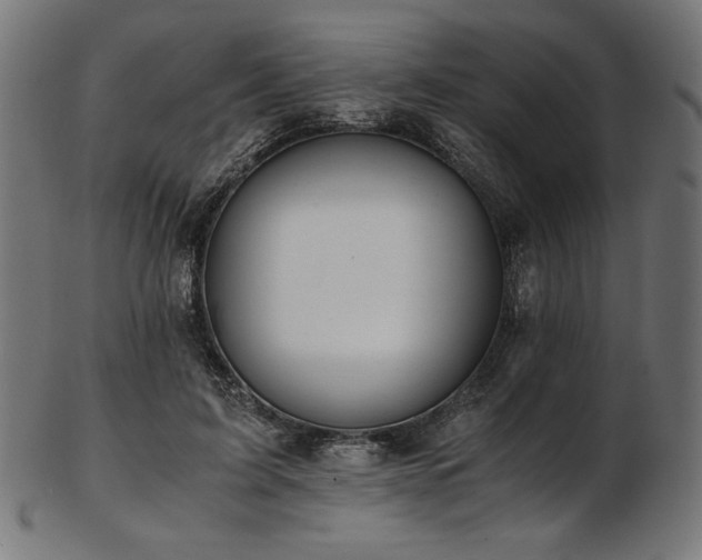 X0000103480595200809121652