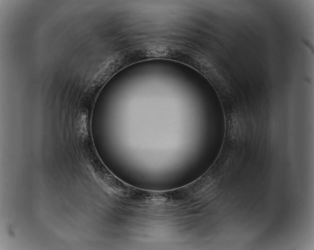 X0000103480598200809121652