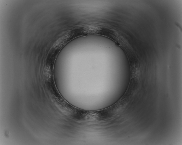 X0000103480599200809121652