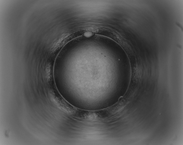 X0000103480600200809121652