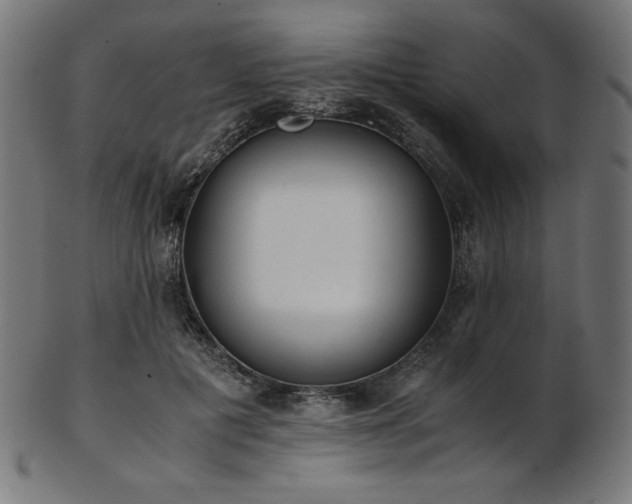 X0000103480601200809121652