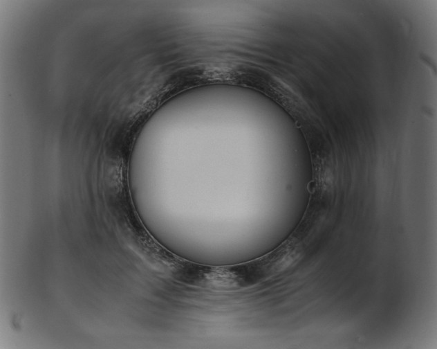 X0000103480603200809121652