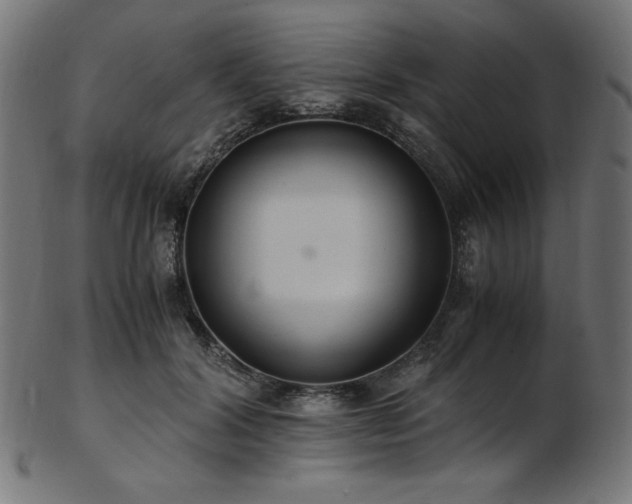 X0000103480604200809121652