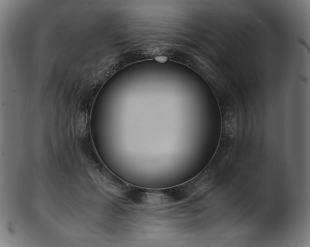 X0000103480605200809121652
