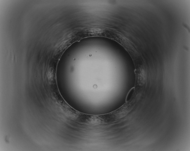 X0000103480608200809121652