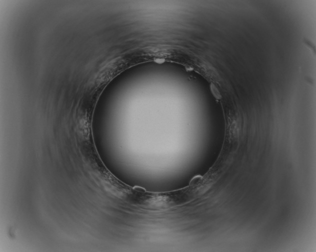 X0000103480609200809121652