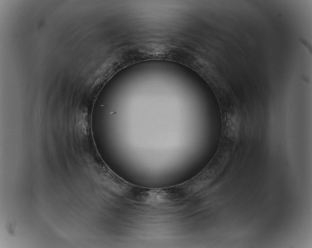 X0000103480612200809121651