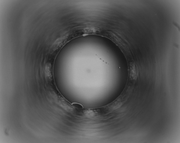 X0000103480616200809121651