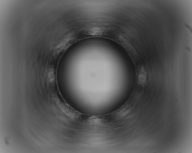 X0000103480620200809121651