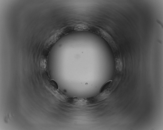 X0000103480621200809121651