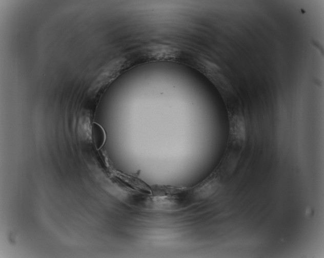 X0000103480622200809121651
