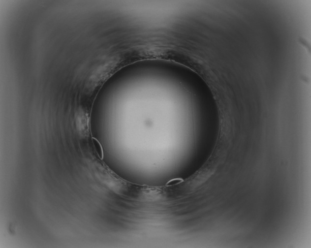 X0000103480624200809121651