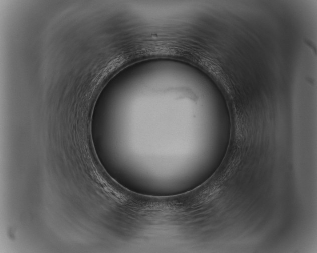X0000103480625200809121650