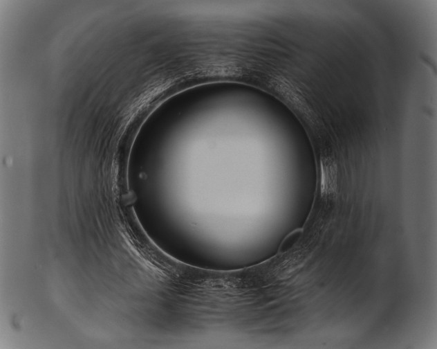 X0000103480627200809121650