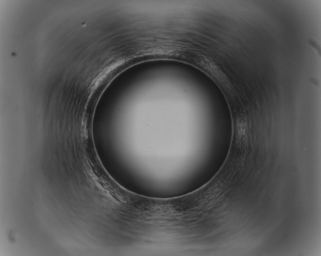 X0000103480628200809121651