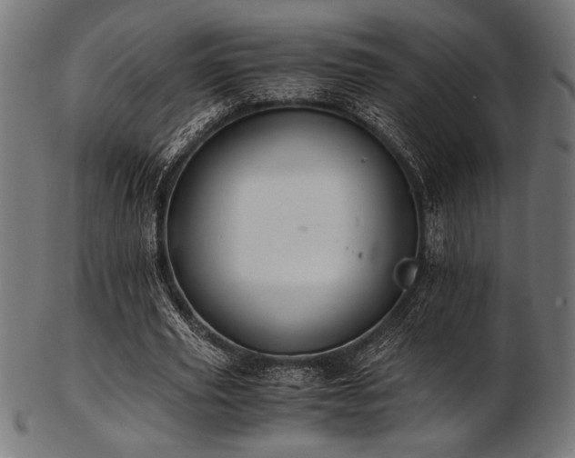 X0000103480629200809121651