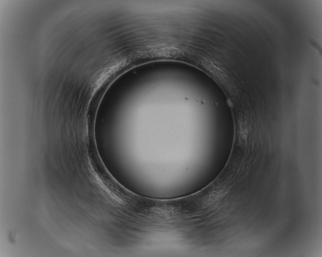 X0000103480630200809121651