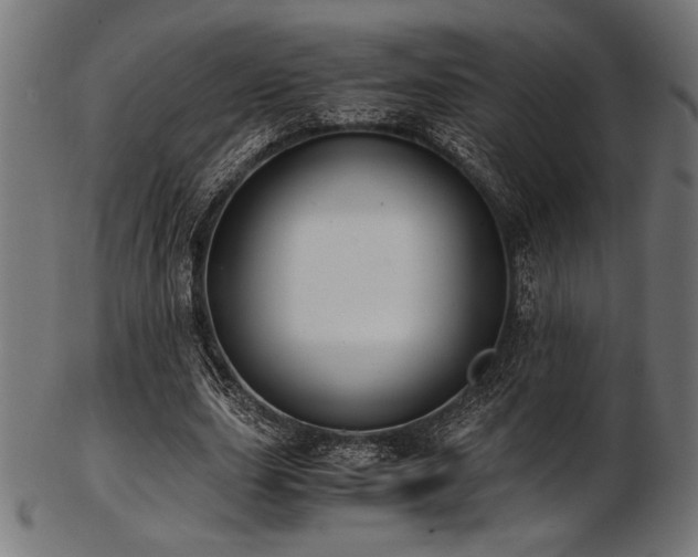 X0000103480631200809121651