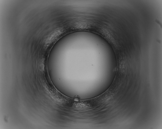 X0000103480635200809121651