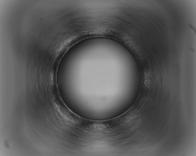 X0000103480636200809121651