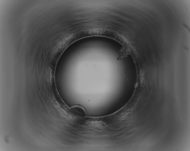 X0000103480637200809121651