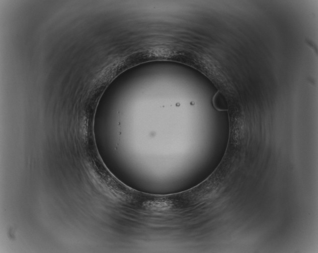 X0000103480639200809121651