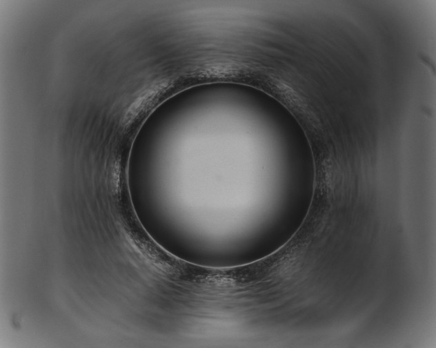 X0000103480640200809121651