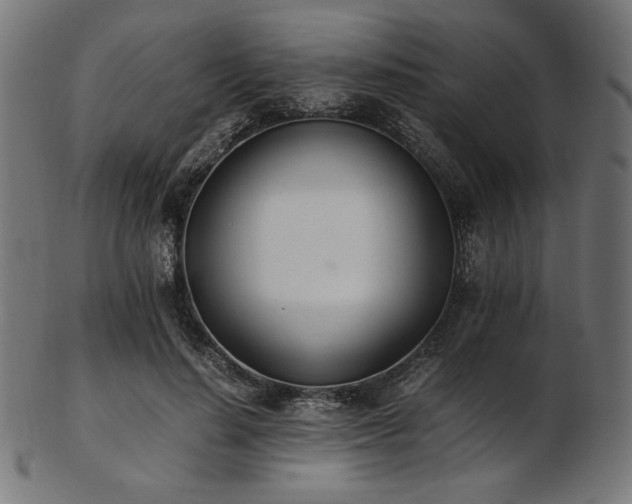 X0000103480644200809121651