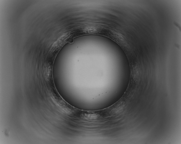 X0000103480645200809121651