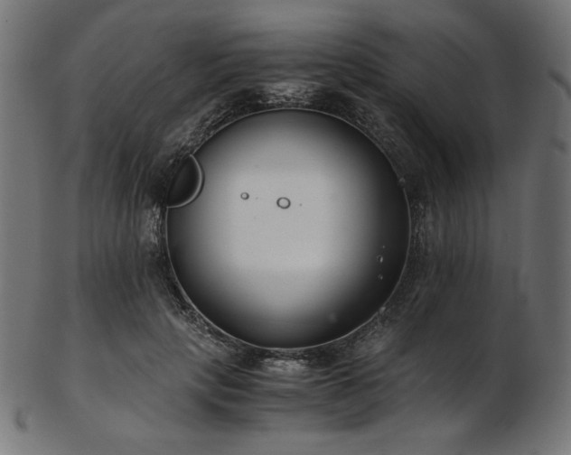 X0000103480649200809121651