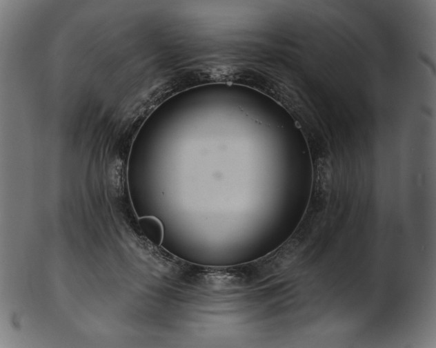 X0000103480650200809121651
