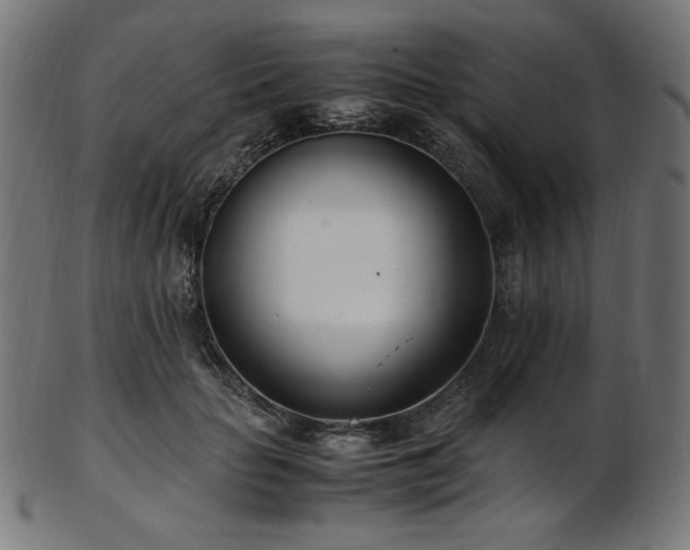 X0000103480653200809121651