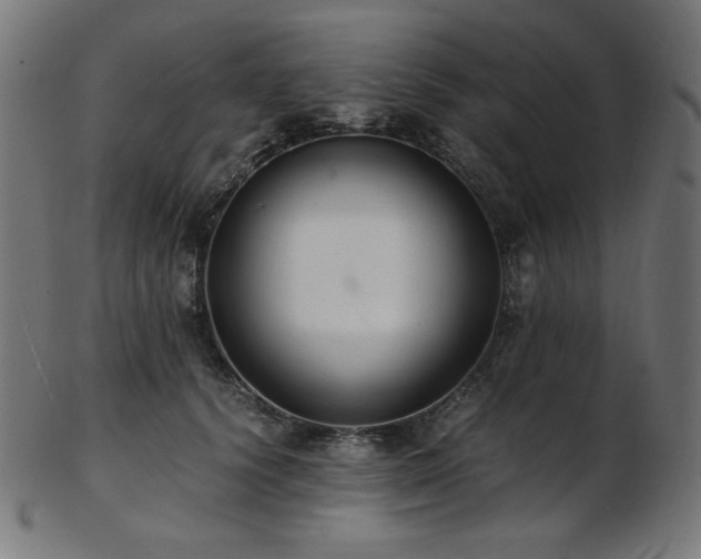 X0000103480656200809121651