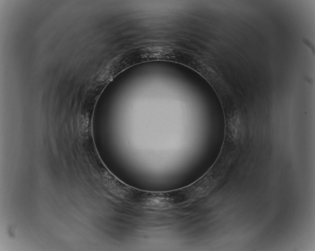 X0000103480657200809121651