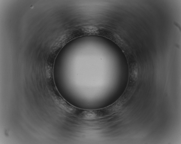 X0000103480658200809121651