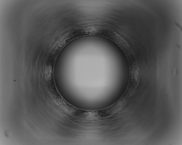 X0000103480660200809121651