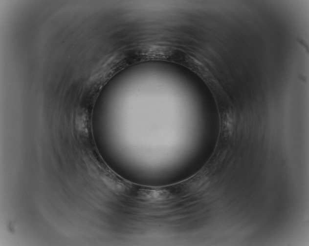X0000103480663200809121651