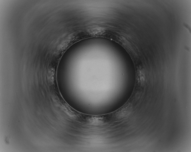 X0000103480664200809121651